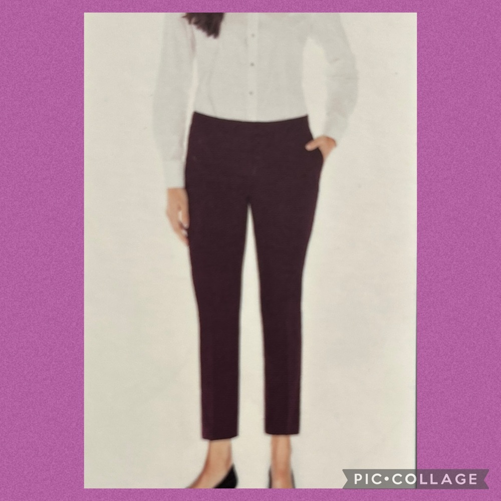 NWT stretchy ankle pant